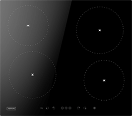 Induktionsfeld Reparatur Ilmenau